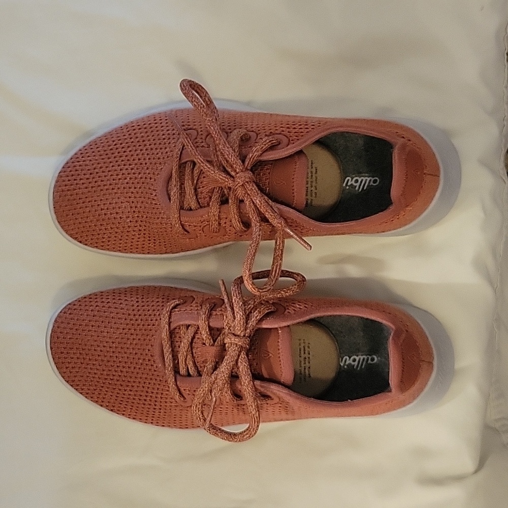 Allbirds Tree Runners